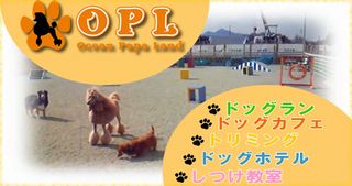 Ocean Papa Land 奈良のドッグラン ドッグカフェ ドッグホテル 犬の美容 犬のしつけのお店