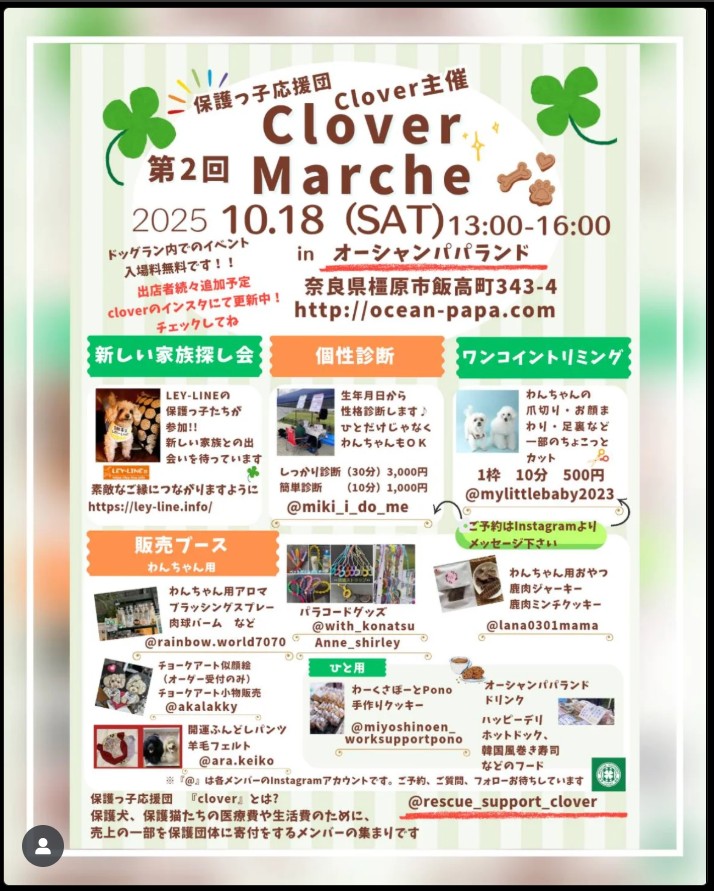 スクリーンショット 2025-09-29 060828