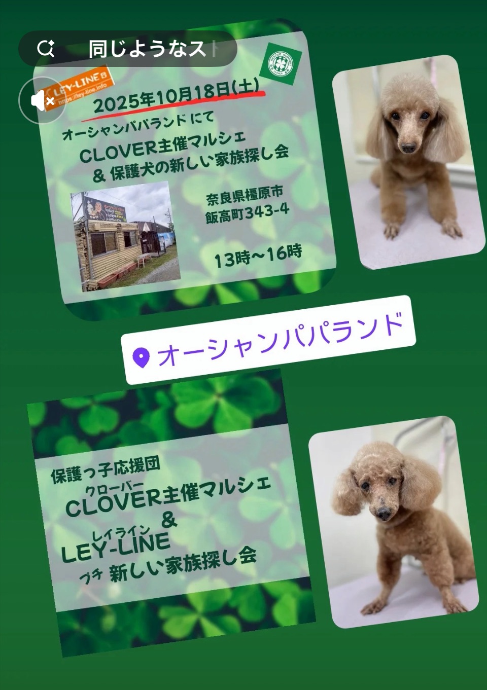 スクリーンショット 2025-09-24 11.35.14