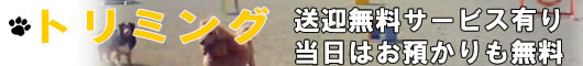 トリミング トリミング